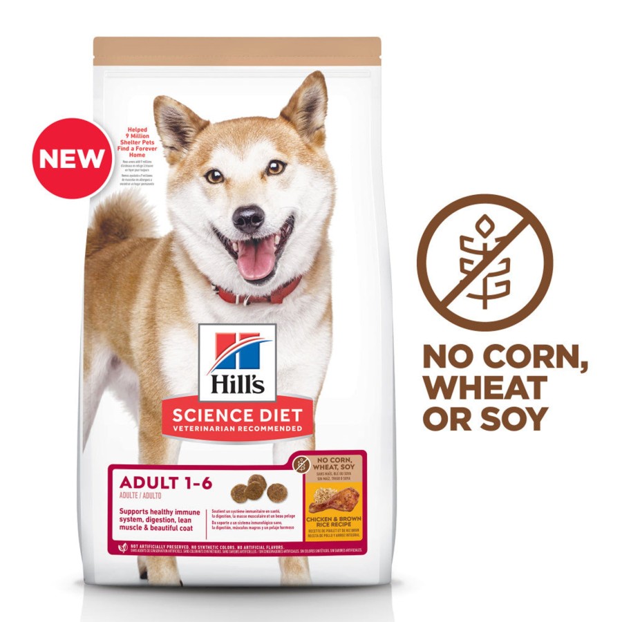 Dog Hill's Science Diet Dry Food | Hill'S Science Diet Adult No Corn, Wheat, Or Soy Chicken & Brown Rice Recipe Dry Dog Food