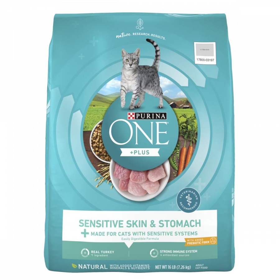 Cat Purina ONE Dry Food | Purina One Sensitive Systems Dry Cat Food