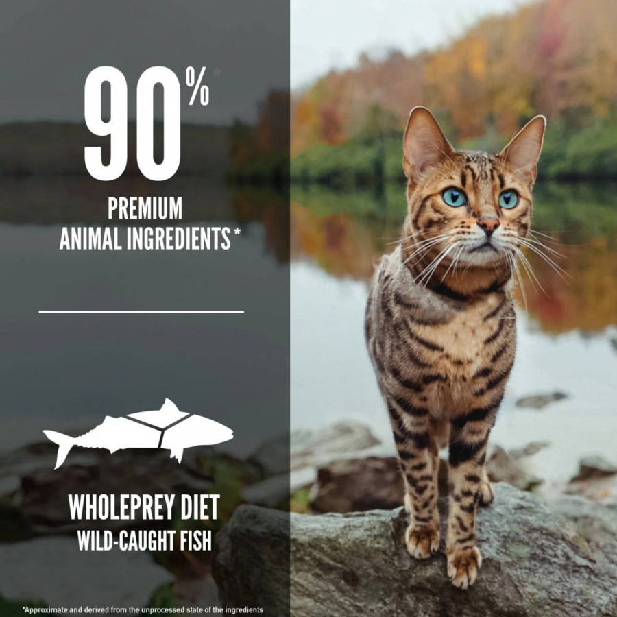 Cat ORIJEN Dry Food | Orijen Grain Free Six Fish Dry Cat Food