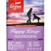 Dog ORIJEN | Orijen Puppy Large Breed Dry Dog Food