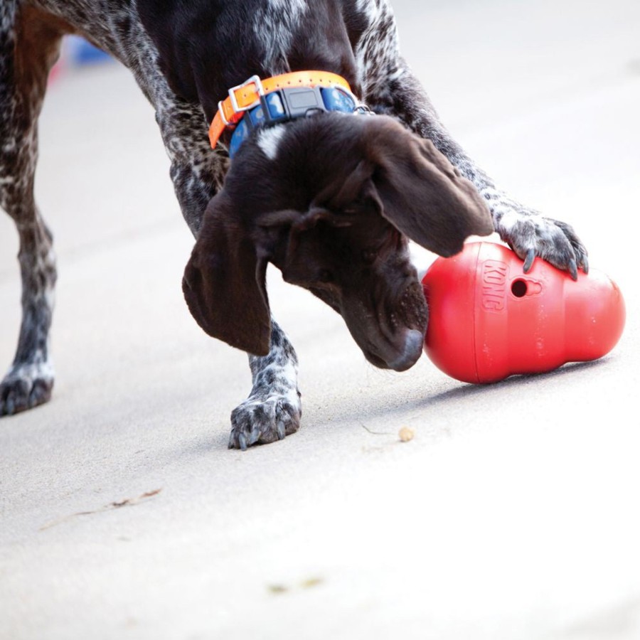 Dog KONG | Kong Wobbler Treat Ball