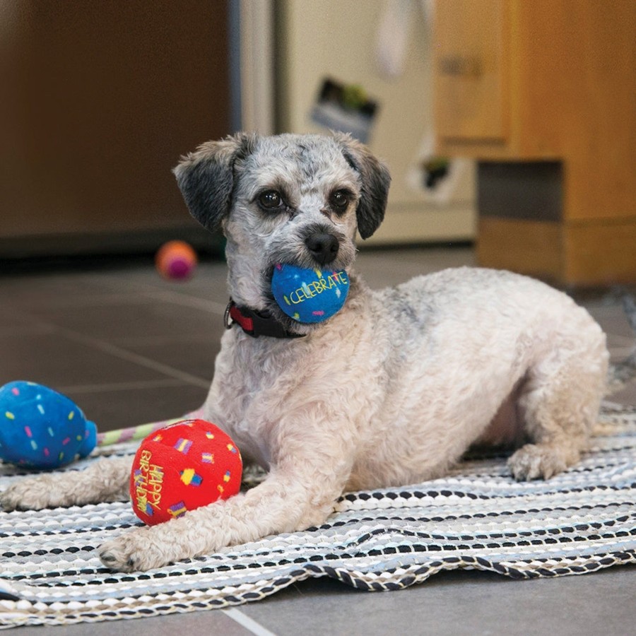 Dog KONG | Kong Occasions Birthday Balls Dog Toy