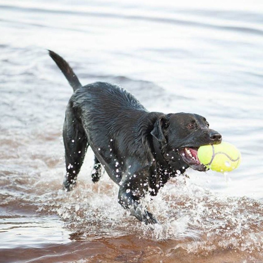 Dog KONG | Kong Airdog Squeaker Football Dog Toy