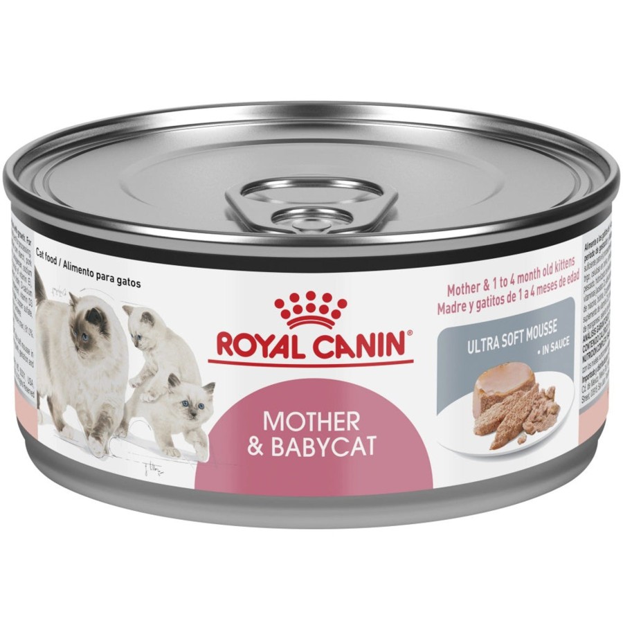 Cat Royal Canin Wet Food | Royal Canin Feline Health Nutrition Mother & Babycat Ultra Soft Mousse In Sauce Canned Cat Food