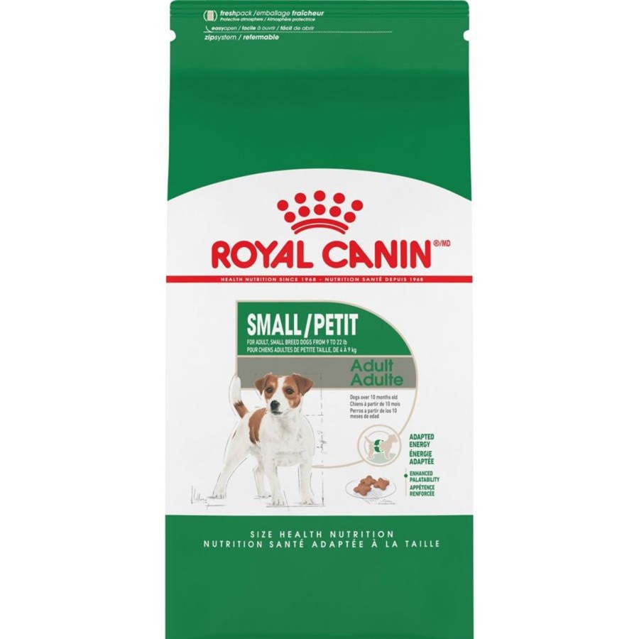 Dog Royal Canin Dry Food | Royal Canin Size Health Nutrition Small Breed Adult Dry Dog Food