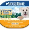 Dog Natural Balance | Natural Balance Limited Ingredient Grain Free Salmon & Sweet Potato Recipe Dry Dog Food