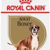 Dog Royal Canin | Royal Canin Breed Health Nutrition Boxer Adult Dry Dog Food