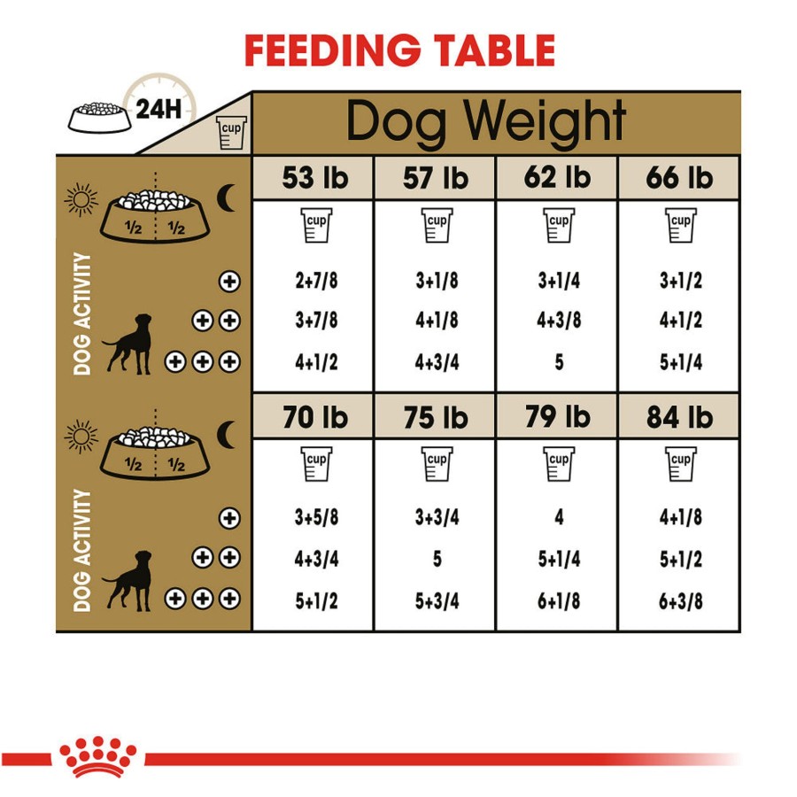 Dog Royal Canin | Royal Canin Breed Health Nutrition Boxer Adult Dry Dog Food