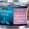 Cat Purina Pro Plan Wet Food | Purina Pro Plan Focus Kitten Classic Salmon & Ocean Fish Entree Canned Cat Food