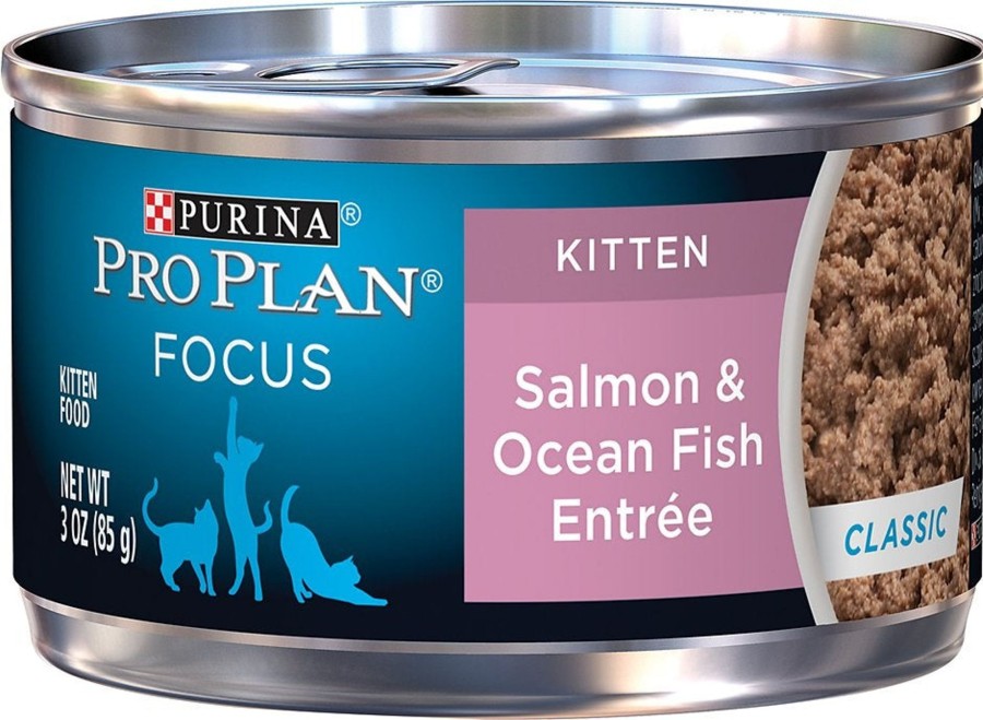 Cat Purina Pro Plan Wet Food | Purina Pro Plan Focus Kitten Classic Salmon & Ocean Fish Entree Canned Cat Food