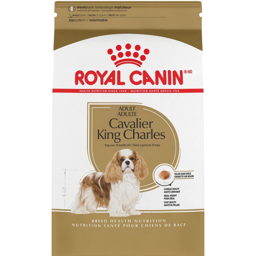 Dog Royal Canin | Royal Canin Adult Cavalier King Charles Spaniel Dry Dog Food