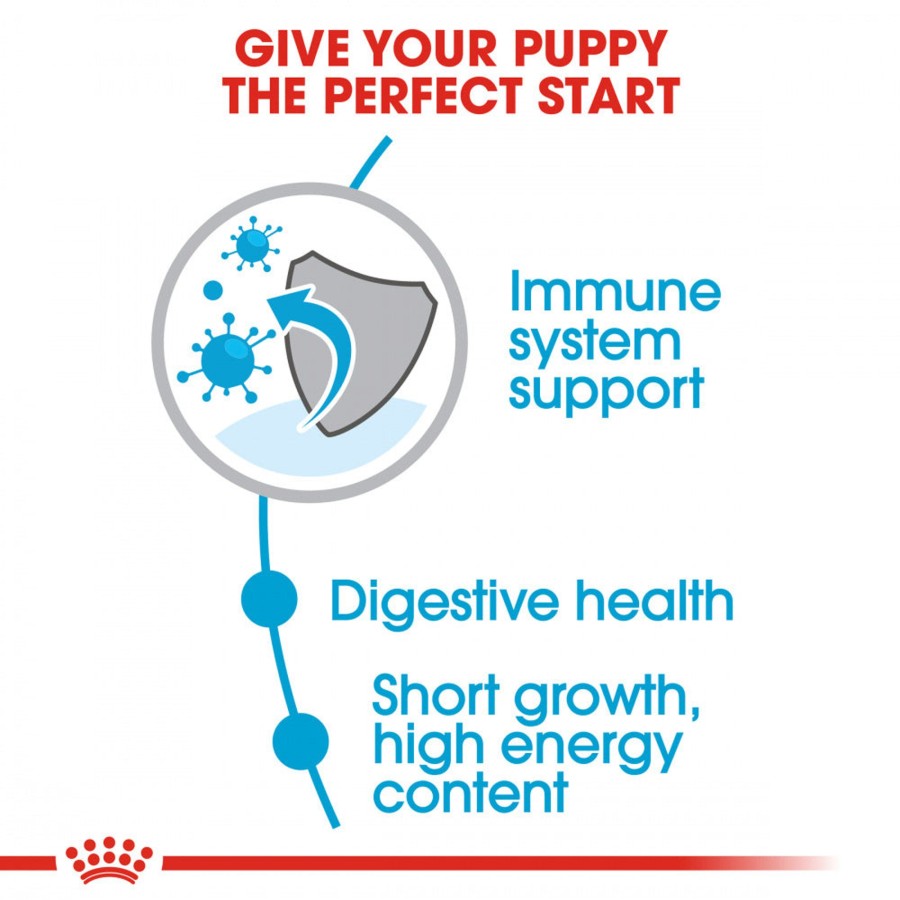 Dog Royal Canin Dry Food | Royal Caninsize Health Nutrition Medium Puppy Dry Dog Food