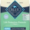 Dog Blue Buffalo Dry Food | Blue Buffalo Life Protection Formula Puppy Lamb & Oatmeal Recipe Dry Dog Food