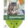 Cat Advantage II | Elanco Advantage Ii Small Cat