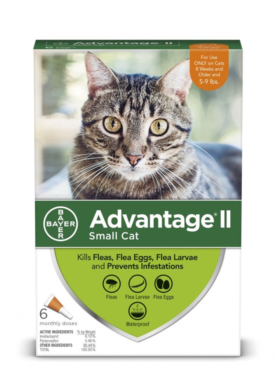 Cat Advantage II | Elanco Advantage Ii Small Cat