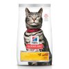 Cat Hill's Science Diet Dry Food | Hill'S Science Diet Adult Urinary Hairball Control Chicken Recipe Dry Cat Food