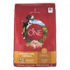 Dog Purina ONE | Purina One Smartblend Chicken & Rice Dry Dog Food