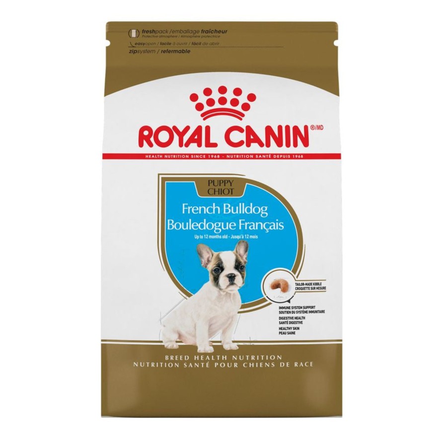 Dog Royal Canin | Royal Canin Breed Health Nutrition French Bulldog Puppy Recipe Dry Dog Food