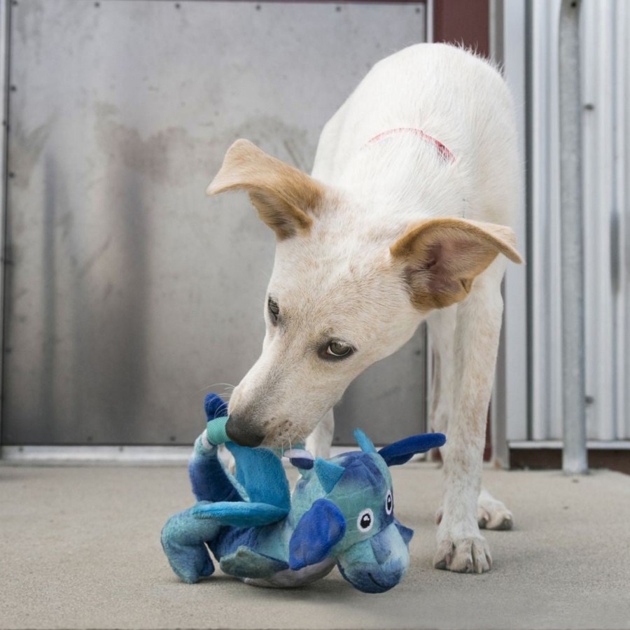 Dog KONG | Kong Dragon Knots Dog Toy