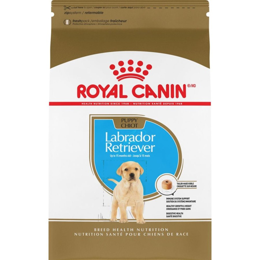 Dog Royal Canin | Royal Canin Breed Health Nutrition Labrador Retriever Puppy Dry Dog Food