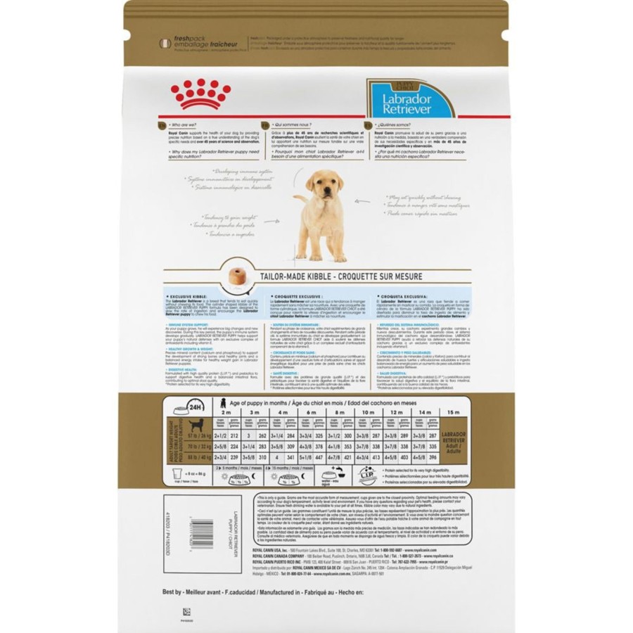 Dog Royal Canin | Royal Canin Breed Health Nutrition Labrador Retriever Puppy Dry Dog Food