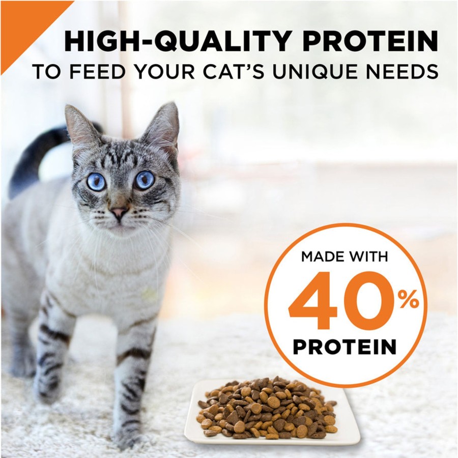 Cat Purina Pro Plan Dry Food | Purina Pro Plan Savor Chicken & Rice Formula Dry Cat Food