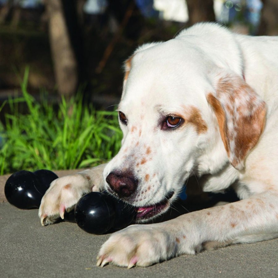 Dog KONG | Kong Extreme Goodie Bone Dog Toy