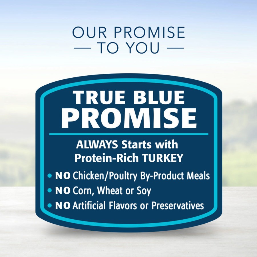 Dog Blue Buffalo | Blue Buffalo Blue Delights For Small Breed Dogs Roasted Turkey Flavor Pate Wet Food