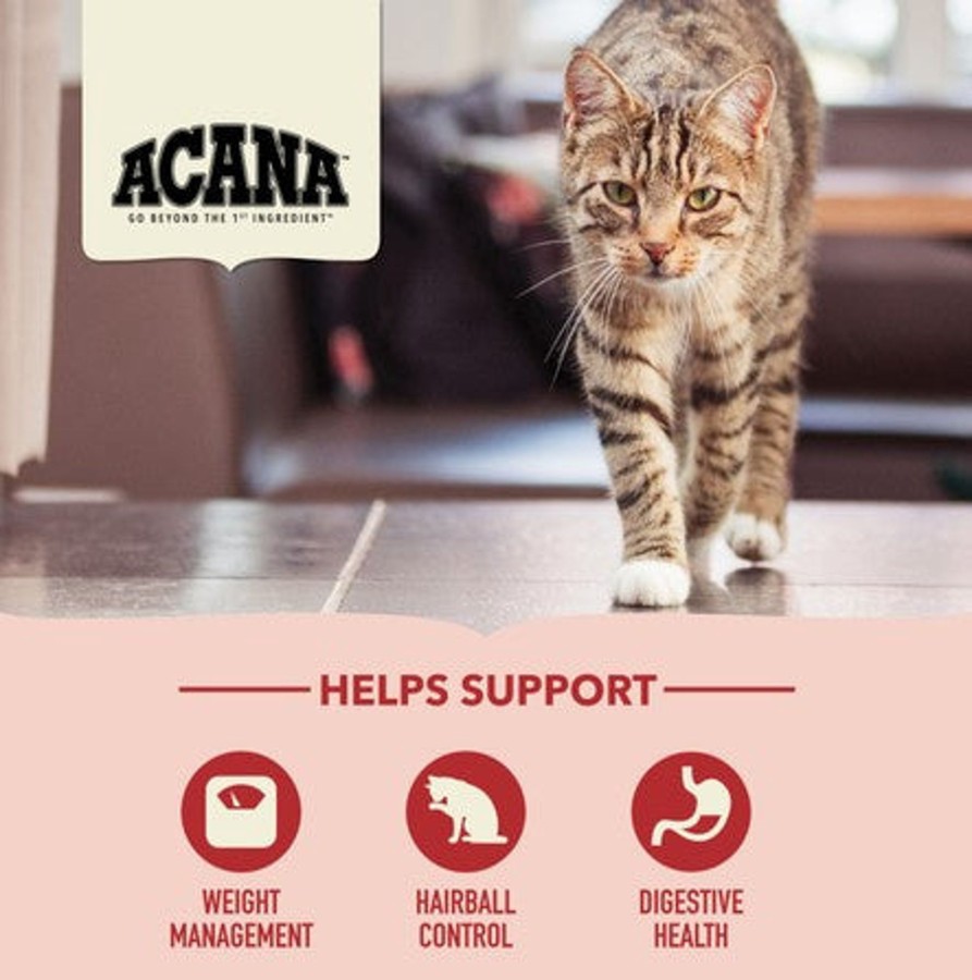 Cat ACANA Dry Food | Acana Indoor Entree Dry Cat Food