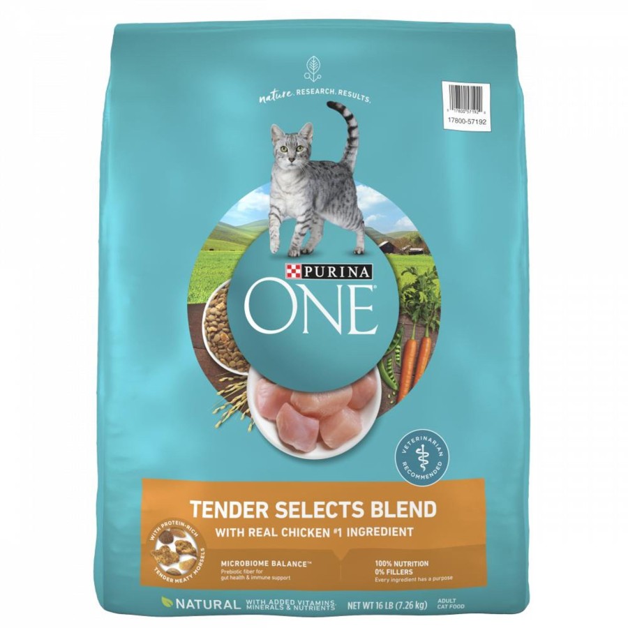 Cat Purina ONE Dry Food | Purina One Tender Selects Blend Real Chicken Dry Cat Food