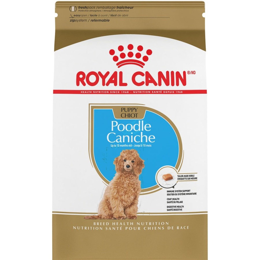 Dog Royal Canin | Royal Canin Breed Health Nutrition Poodle Puppy Dry Dog Food