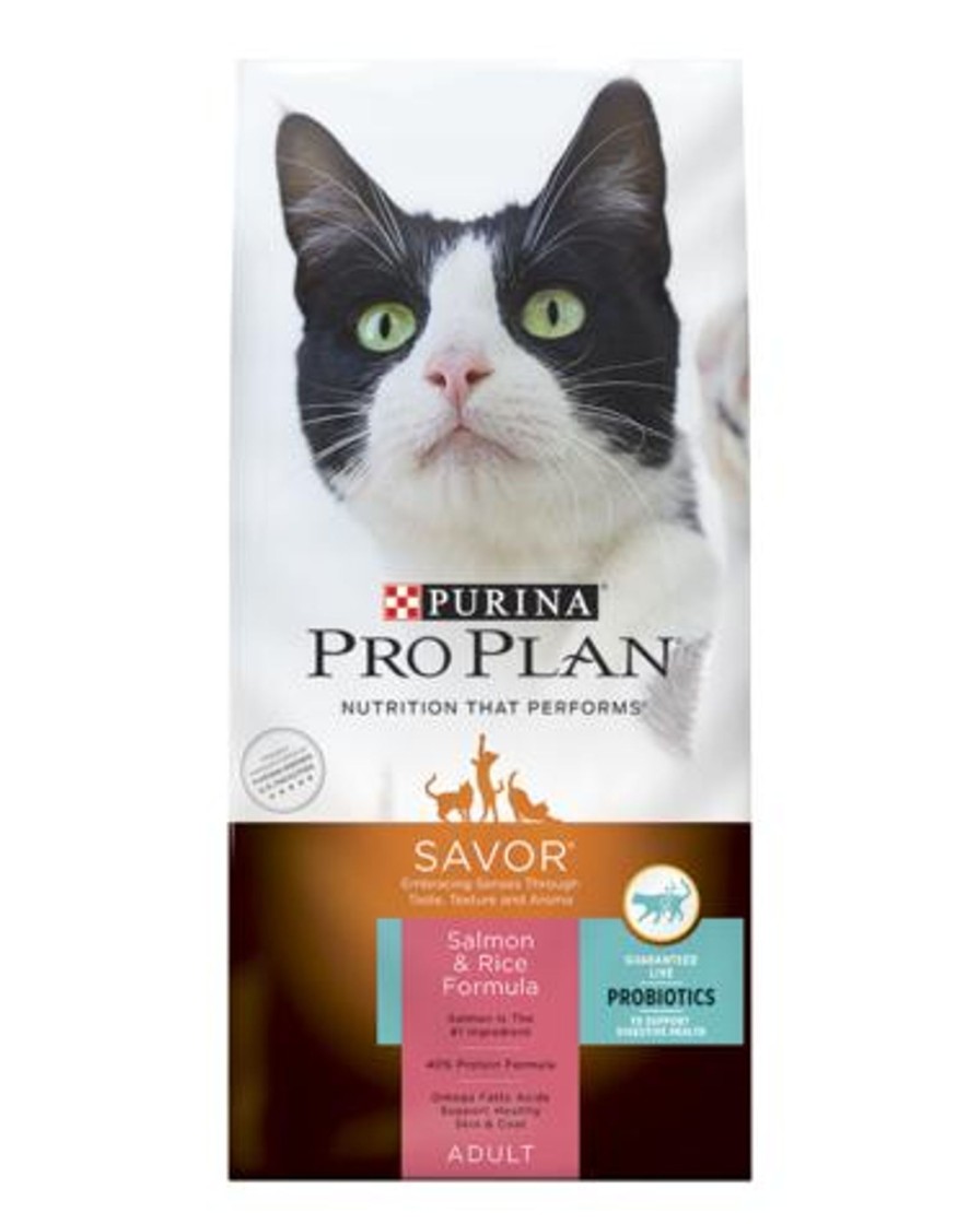 Cat Purina Pro Plan Dry Food | Purina Pro Plan Savor Salmon & Rice Formula Adult Dry Cat Food