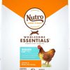 Cat Nutro Dry Food | Nutro Wholesome Essentials Indoor Chicken And Brown Rice Recipe Adultdry Cat Food