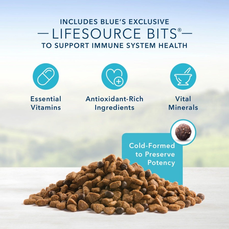 Dog Blue Buffalo Dry Food | Blue Buffalo Life Protection Formula Small Breed Senior Chicken & Brown Rice Recipe Dry Dog Food