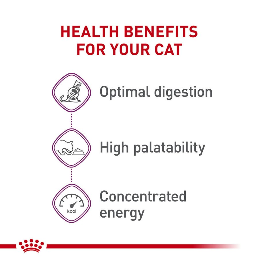 Cat Royal Canin Dry Food | Royal Canin Feline Health Nutrition Sensitive Digestion Dry Cat Food