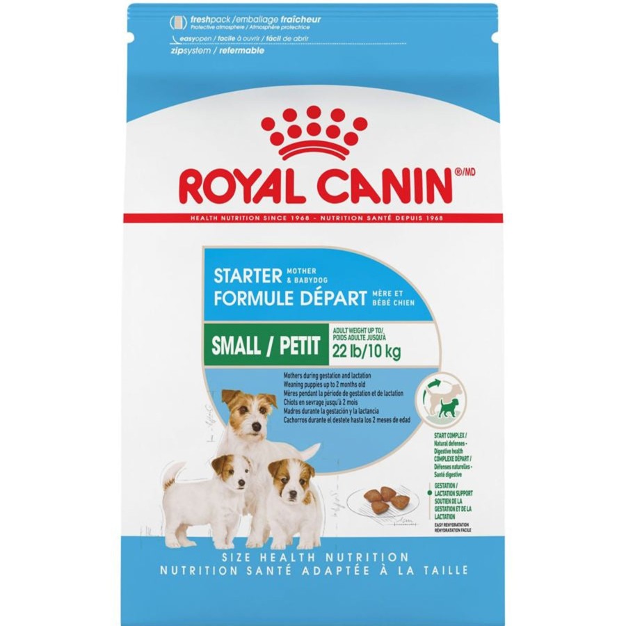 Dog Royal Canin Dry Food | Royal Canin Small Breed Starter Babydog & Mother Dry Dog Food