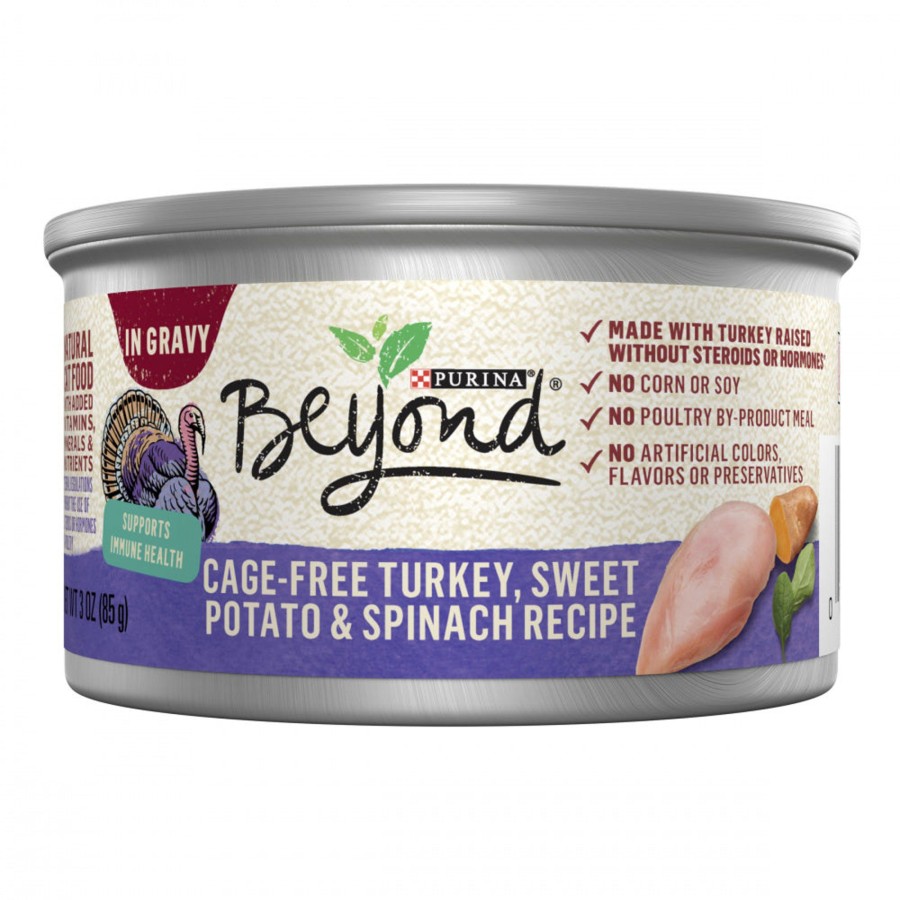 Cat Purina Beyond Wet Food | Purina Beyond Cage Free Turkey, Sweet Potato & Spinach Recipe Canned Cat Food