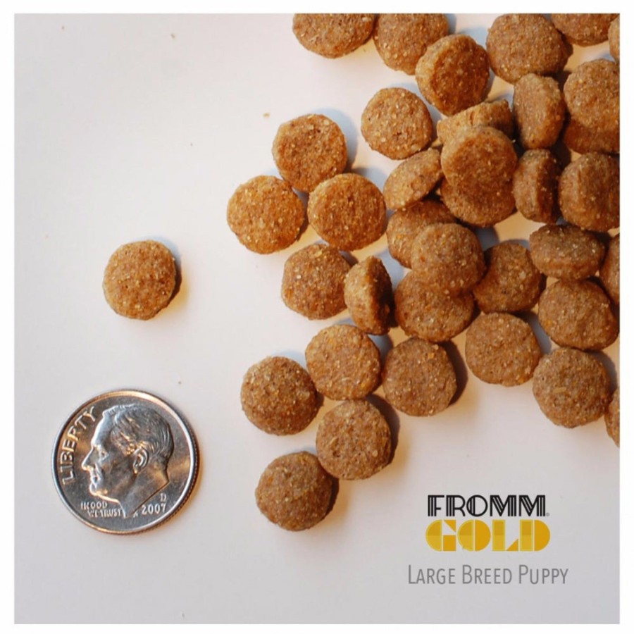 Dog Fromm Dry Food | Fromm Gold Large Breed Puppy Formula Dry Dog Food