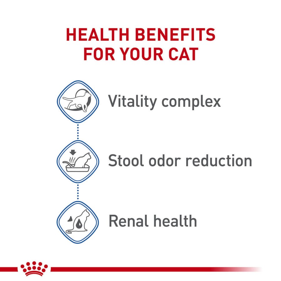 Cat Royal Canin Dry Food | Royal Canin Indoor 7+ Dry Cat Food