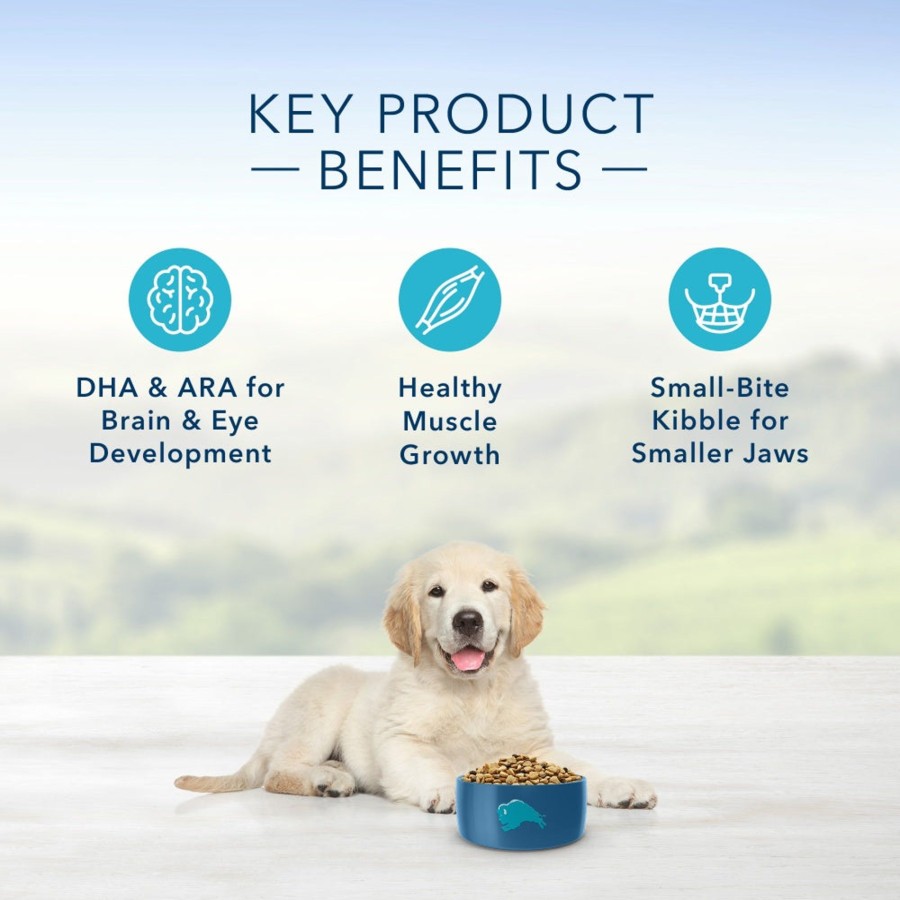 Dog Blue Buffalo Dry Food | Blue Buffalo Life Protection Formula Puppy Chicken & Brown Rice Recipe Dry Dog Food