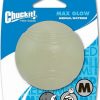 Dog Chuckit! | Chuckit! Max Glow Ball