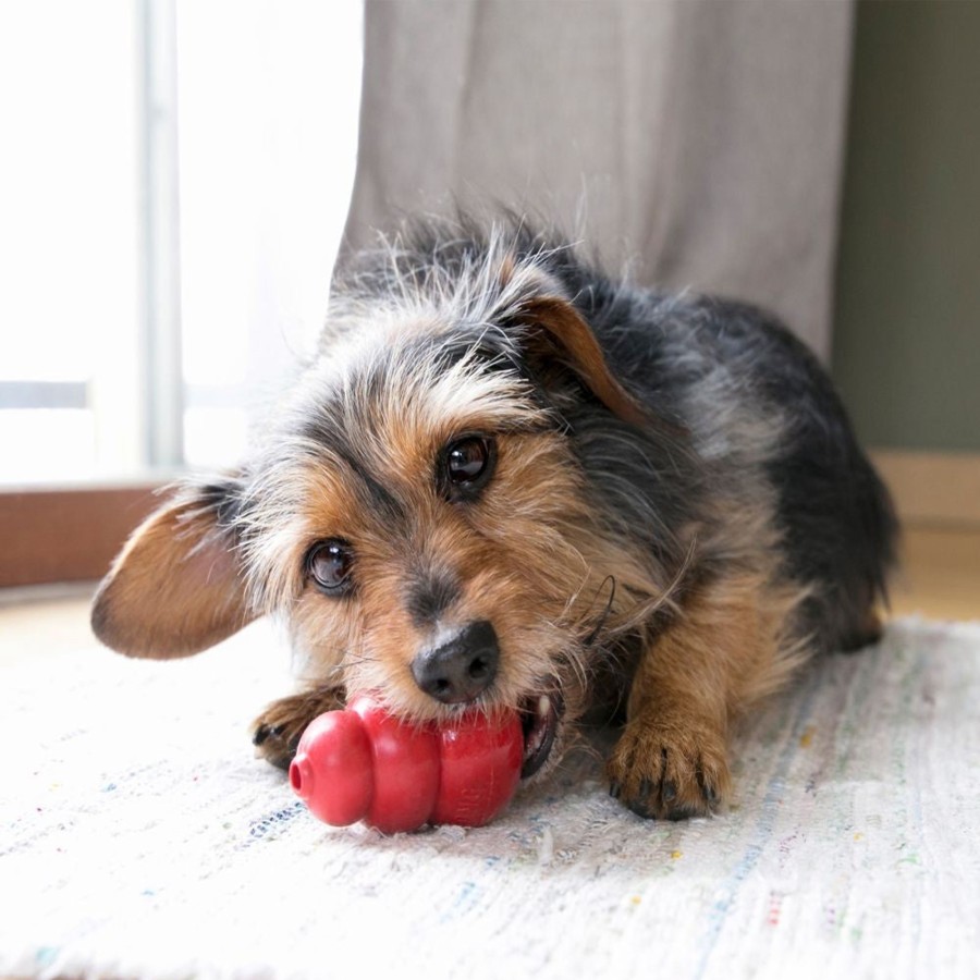 Dog KONG | Kong Classic Dog Toy