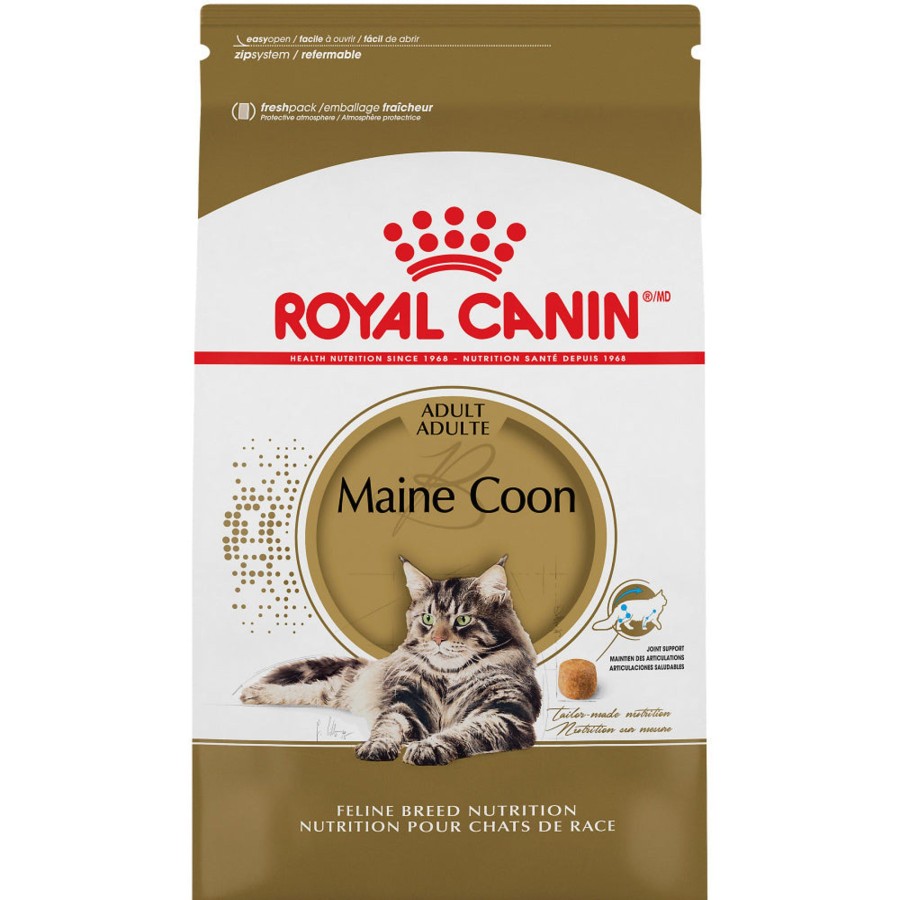 Cat Royal Canin Dry Food | Royal Canin Feline Breed Nutrition Maine Coon Formula Dry Cat Food