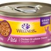 Cat Wellness Wet Food | Wellness Complete Health Natural Grain Free Chicken And Lobster Pate Wet Canned Cat Food