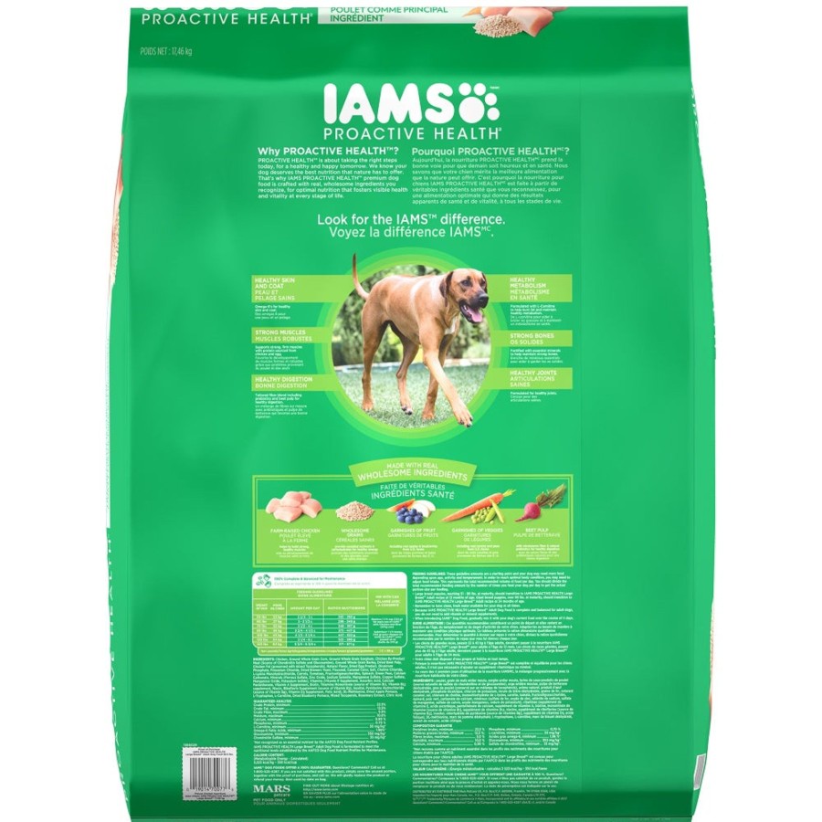 Dog IAMS Dry Food | Iams Proactive Health Adult Large Breed Dry Dog Food