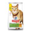 Cat Hill's Science Diet Dry Food | Hill'S Science Diet Adult 7+ Senior Vitality Chicken & Rice Recipe Dry Cat Food