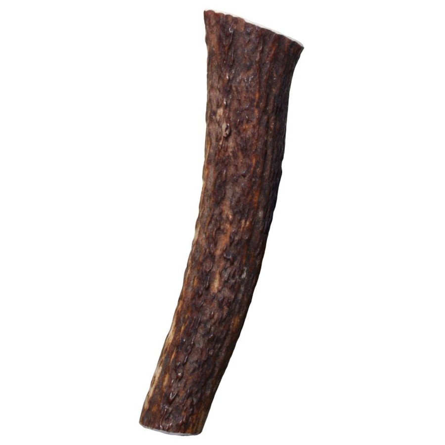 Dog KONG | Kong Wild All-Natural Whole Elk Antler For Dogs