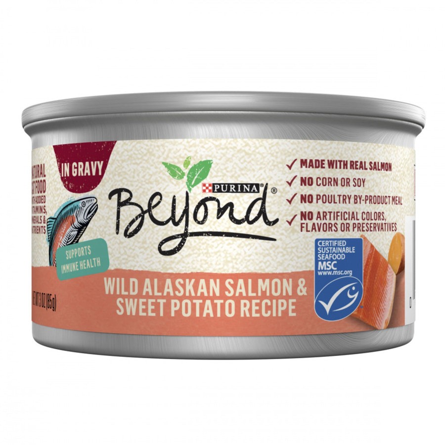 Cat Purina Beyond Wet Food | Purina Beyond Grain-Free Wild Alaskan Salmon & Sweet Potato Recipe In Gravy Canned Cat Food