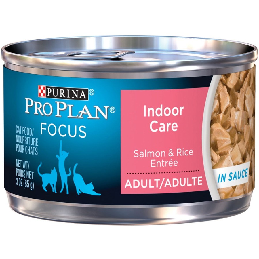 Cat Purina Pro Plan Wet Food | Purina Pro Plan Focus Adult Indoor Care Salmon & Rice Entree In Sauce Canned Cat Food