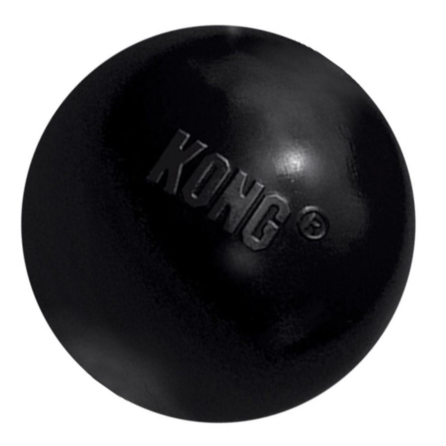 Dog KONG | Kong Extreme Ball Dog Toy